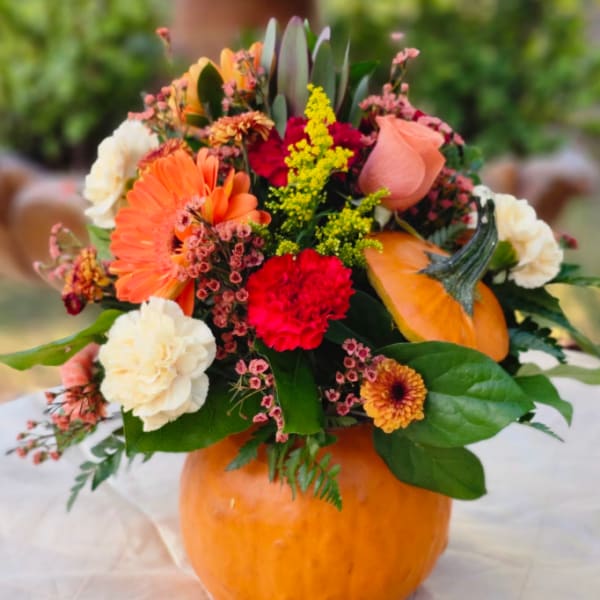 Real Pumpkin Designer's Choice