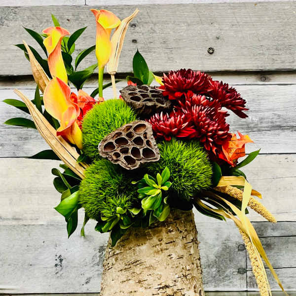 Fall Forest