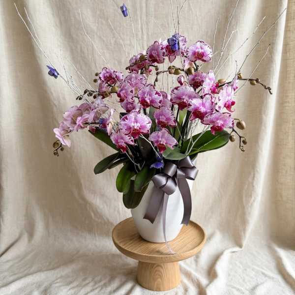 Pink orchids in a white vase with a gray ribbon