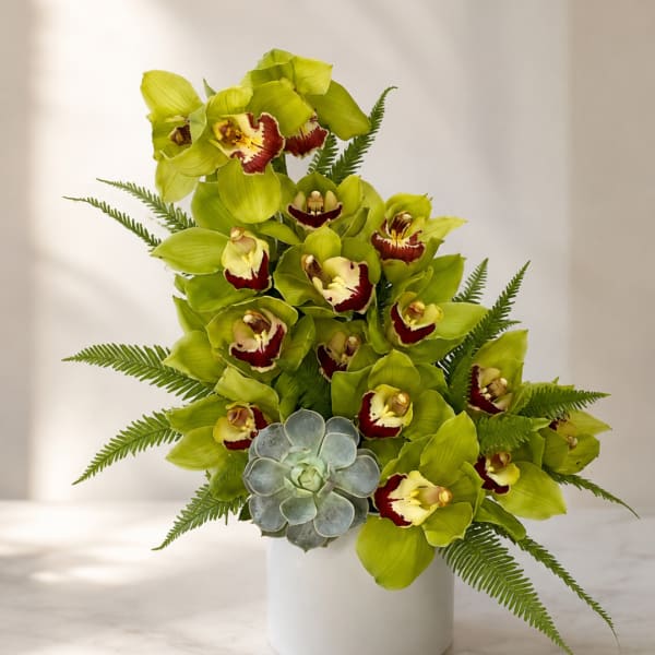 Green orchid arrangement in a white vase with a blue succulent accent
