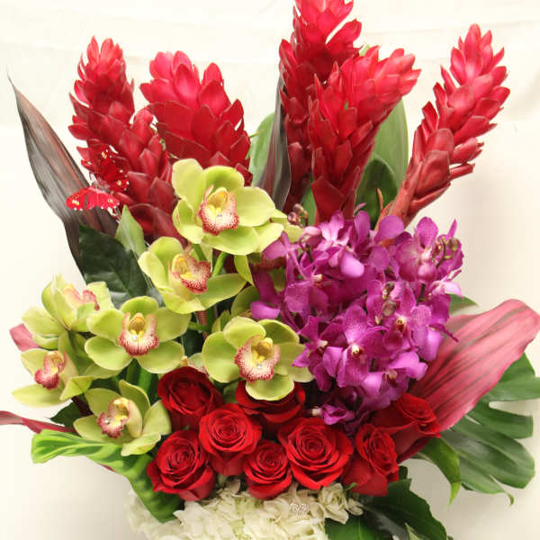 Red roses and orchids arranged in a square glass vase