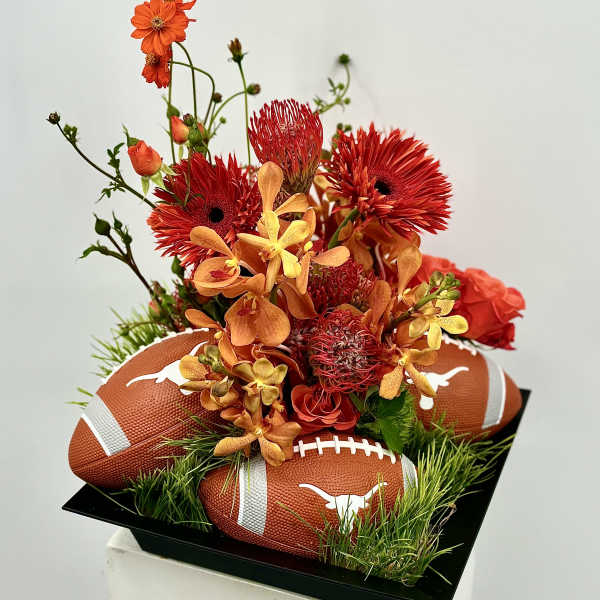 Hook Em Horns