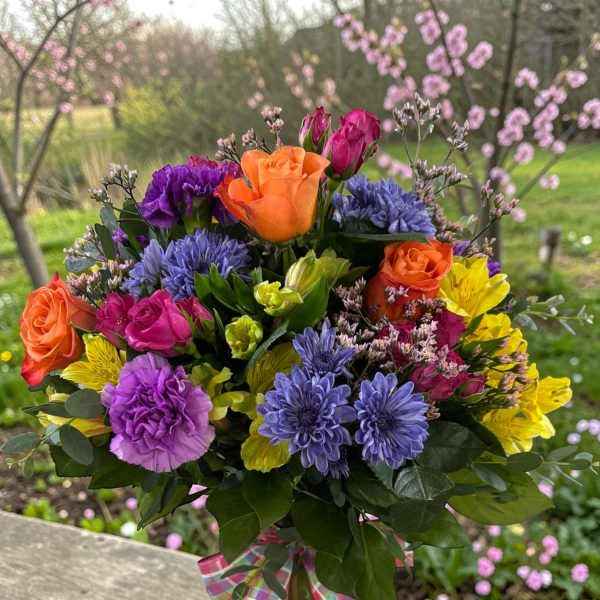 Spring Explosion