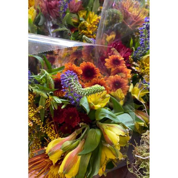 Bright mixed bouquet of yellow alstroemeria, orange mums, and purple blooms wrapped in clear cellophane