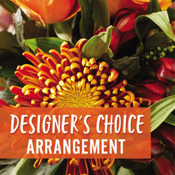 Best of the Fall Season Designer's Choice