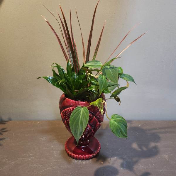 Potted green houseplant arrangement in a red decorative vase