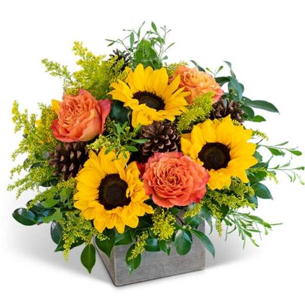 Sunflower and orange rose arrangement in a gray square container