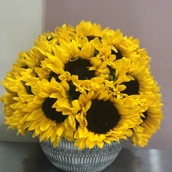 Sunshine