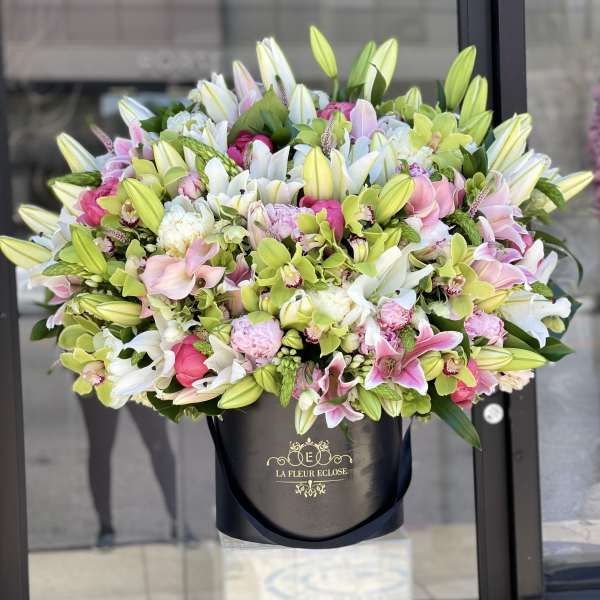 Lily Heaven MD