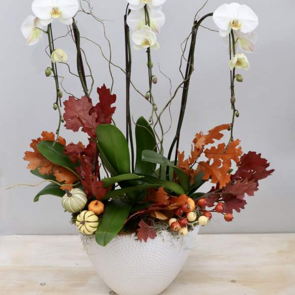 Tall white orchid planter with autumn leaves and small decorative gourds in a white pot