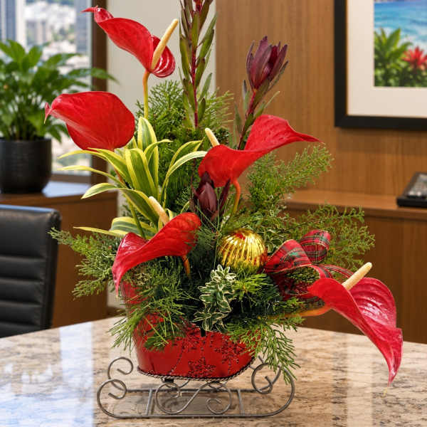 Red anthurium arrangement in a red container with a plaid ribbon