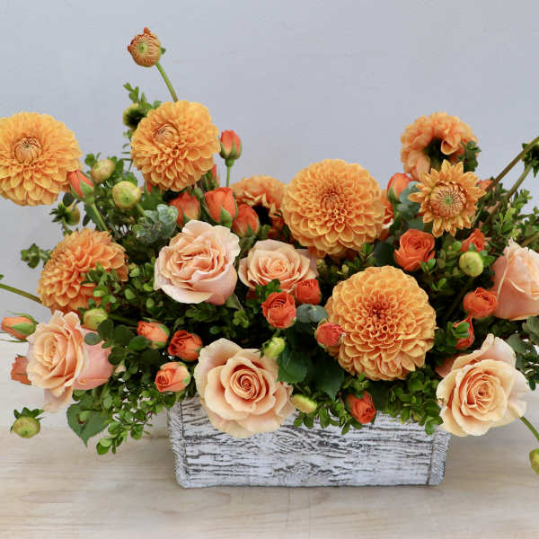 Low arrangement of orange dahlias and peach roses in a whitewashed wooden box