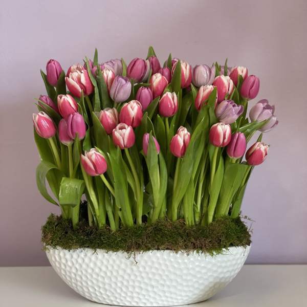 Pink and white tulips arranged in a white textured bowl