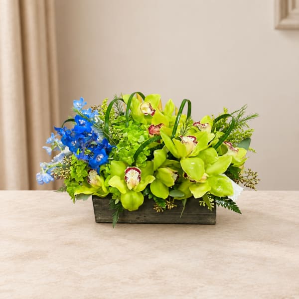 Green orchid arrangement with blue flowers in a rectangular wooden container