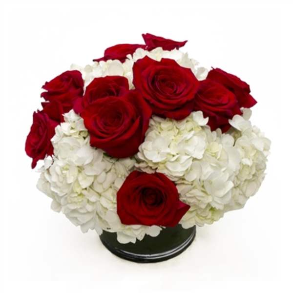 Red roses arranged with white hydrangeas in a low black vase