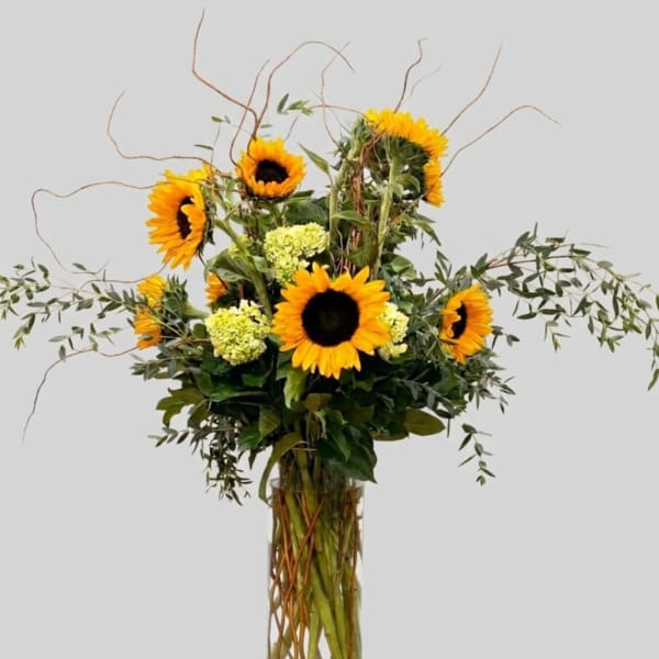 Tall sunflower arrangement in a clear glass vase with airy branches