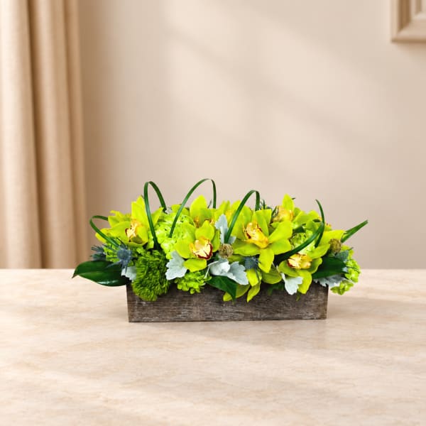 Low rectangular arrangement of lime green orchids in a wooden container