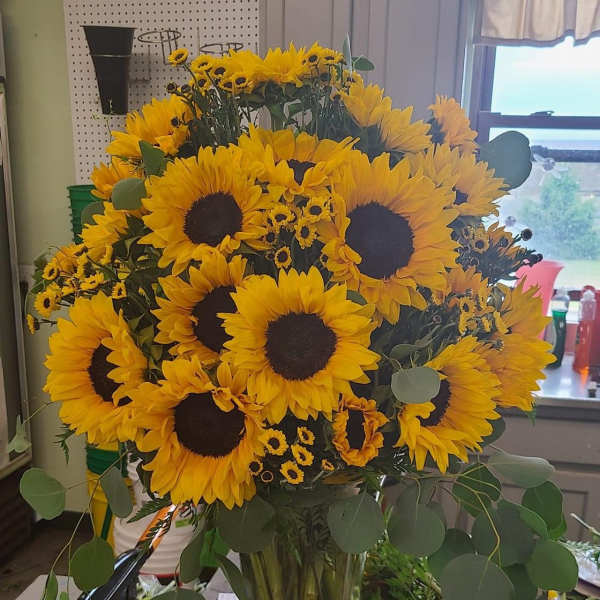 You Are My Sunshine