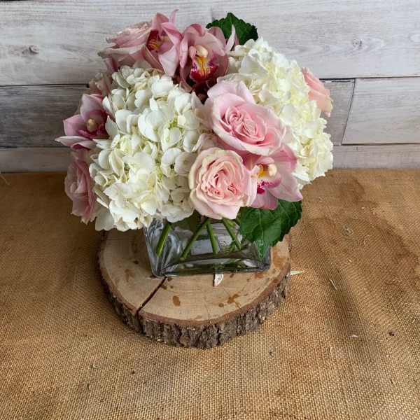 Pink and White Delight