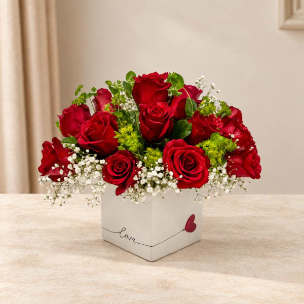 Red roses arranged in a white square box with baby's breath