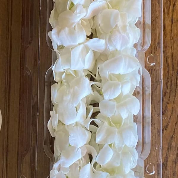 White flower lei in clear plastic packaging with a gold ribbon