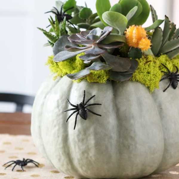 Spooky Succulent Pumpkin