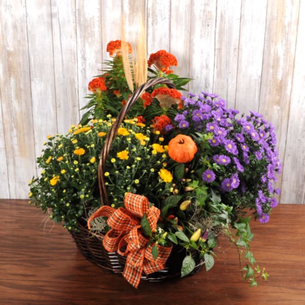 Autumn basket of yellow mums, purple flowers, and orange accents with a plaid bow and mini pumpkin