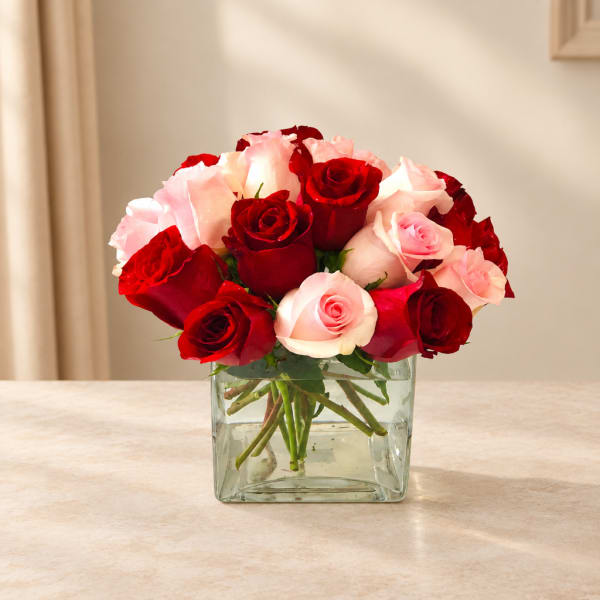 Red and pink roses arranged in a clear square glass vase