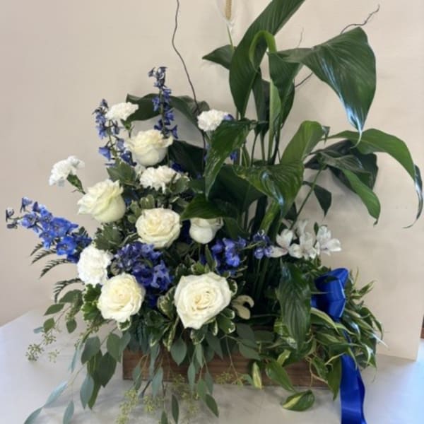 White roses and blue flowers arranged with tall green foliage in a wooden box
