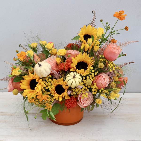 Low orange pot arrangement with sunflowers, peach roses, yellow blooms and small white pumpkins.