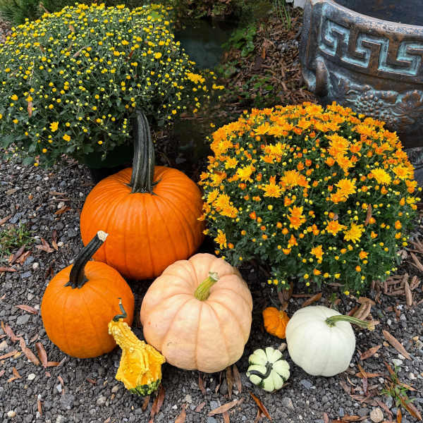 Fall Porch Display