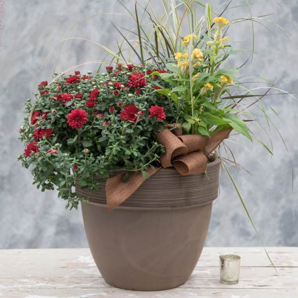 Fall Patio Pot