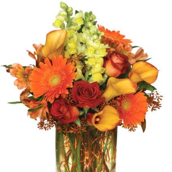 AUTUMN ADVENTURE ARRANGEMENT