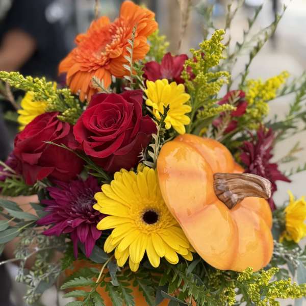 Pumpkin-Orange