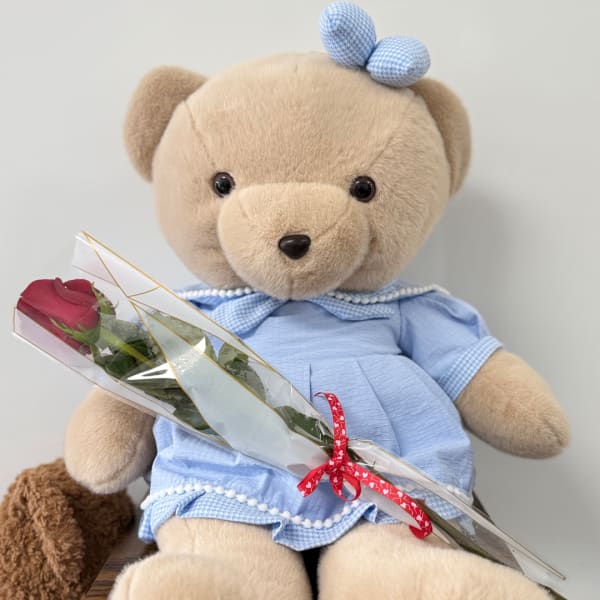 Teddy bear in a blue dress holding a wrapped red rose