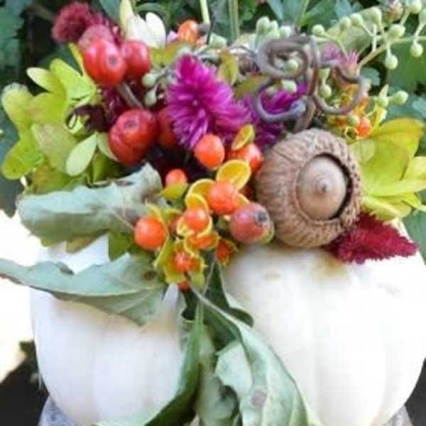 Dried Flower Pumpkin