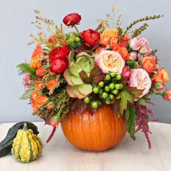 Autumn flower arrangement in a hollow pumpkin with orange and pink blooms, green succulent, and berries