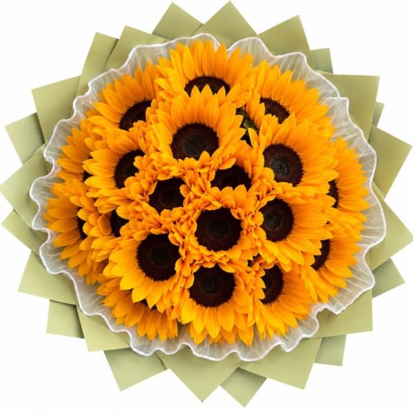 Bouquet of bright yellow sunflowers wrapped in pale green paper