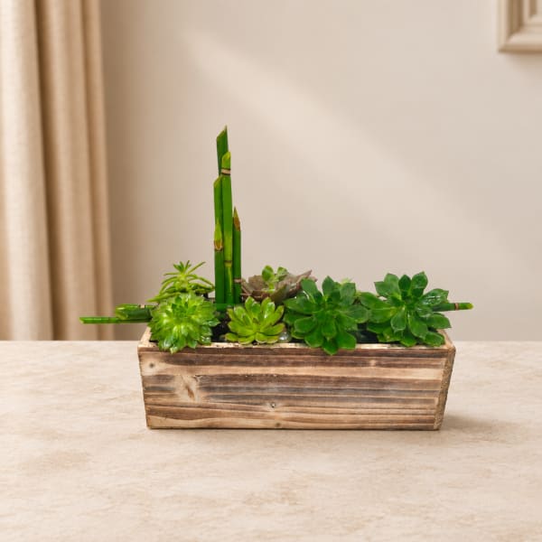 Succulent arrangement in a rectangular wooden planter with tall bamboo stalks