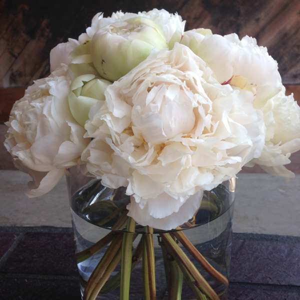 White peonies arranged in a clear glass vase