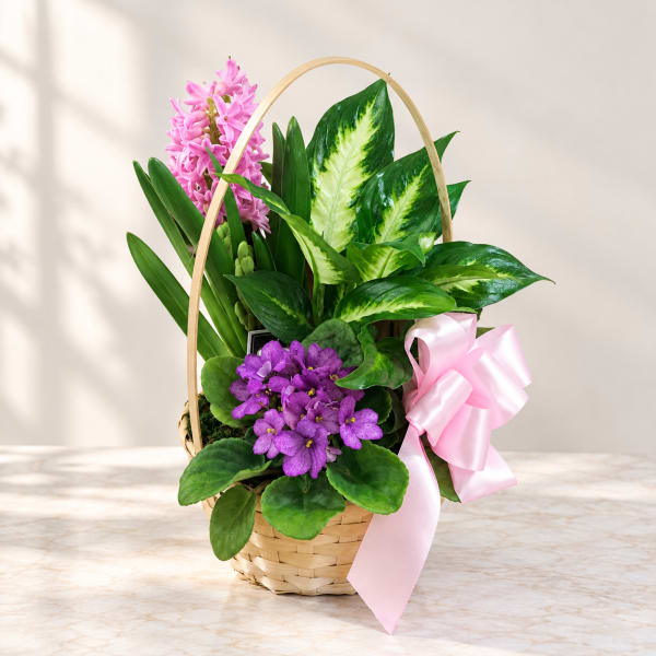 Basket of potted purple and pink flowers with a pink ribbon