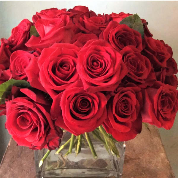 Tight cluster of red roses arranged in a clear square glass vase