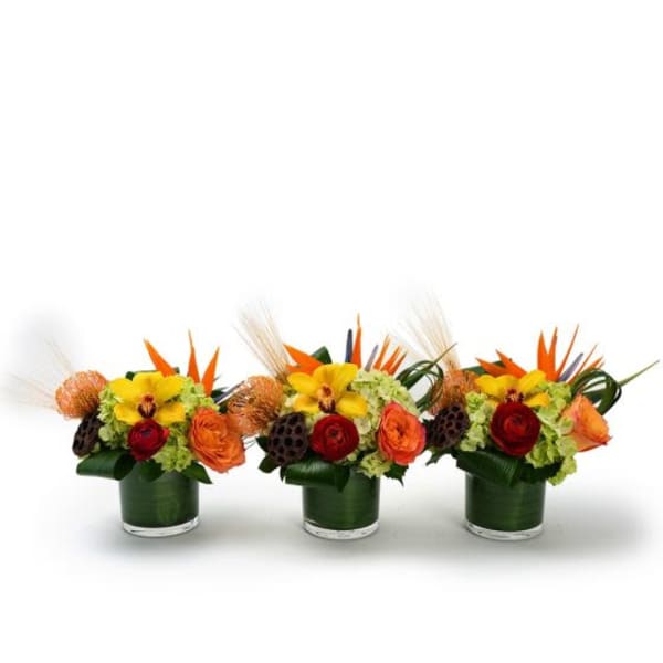 Trio of low orange, red, and yellow floral centerpieces in clear glass vases