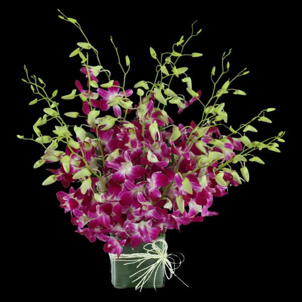 Pink and white orchids in a clear glass vase with a raffia bow
