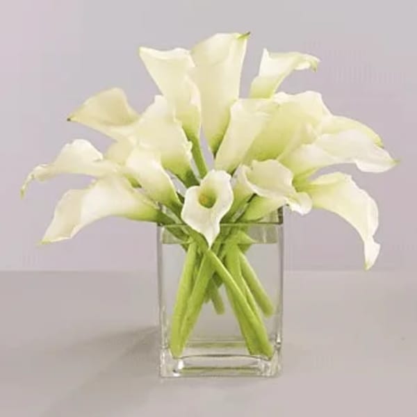 White calla lilies arranged in a clear glass vase