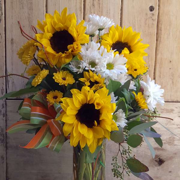 Sunny Daisy Vase