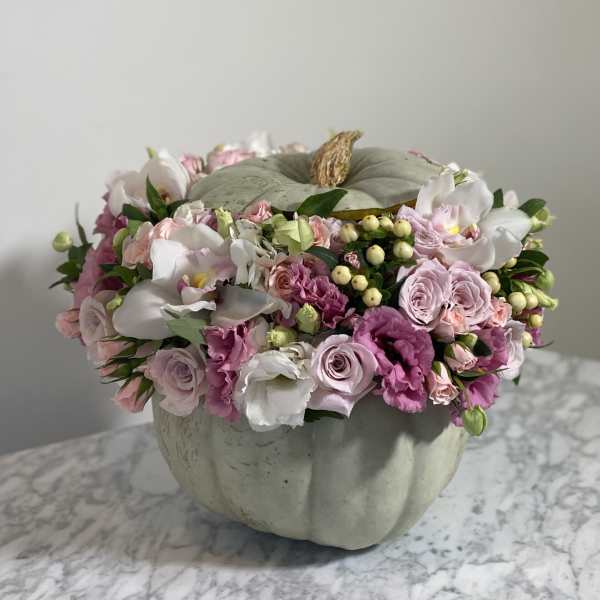 Pastel Pumpkin