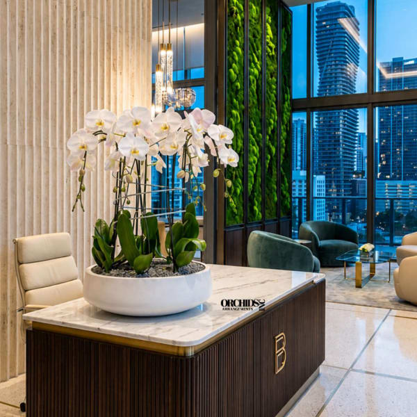 White orchids arranged in a large bowl planter on a marble table
