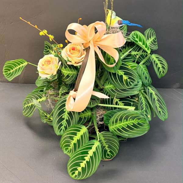 Green house plant with fresh or silk floral added