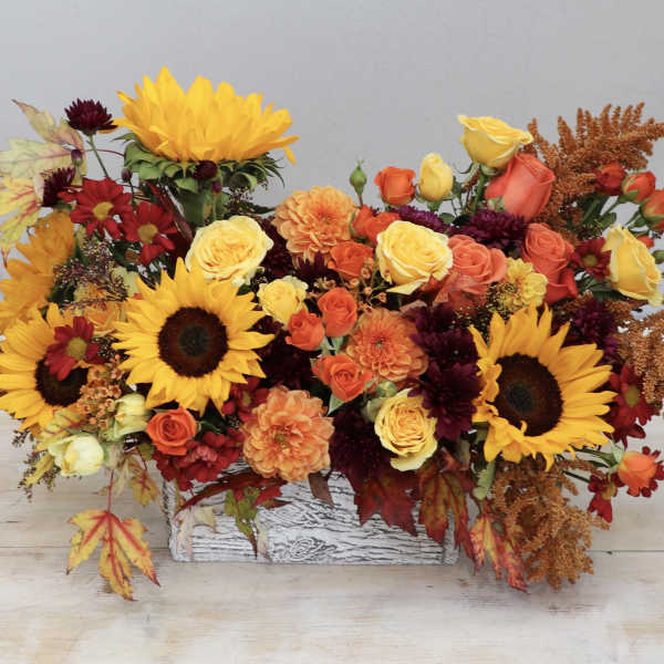 Low rectangular arrangement of sunflowers, roses, and fall-toned blooms in a whitewashed wooden box.